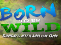 Born To Be Wild June 23 2024 Today HD Episode